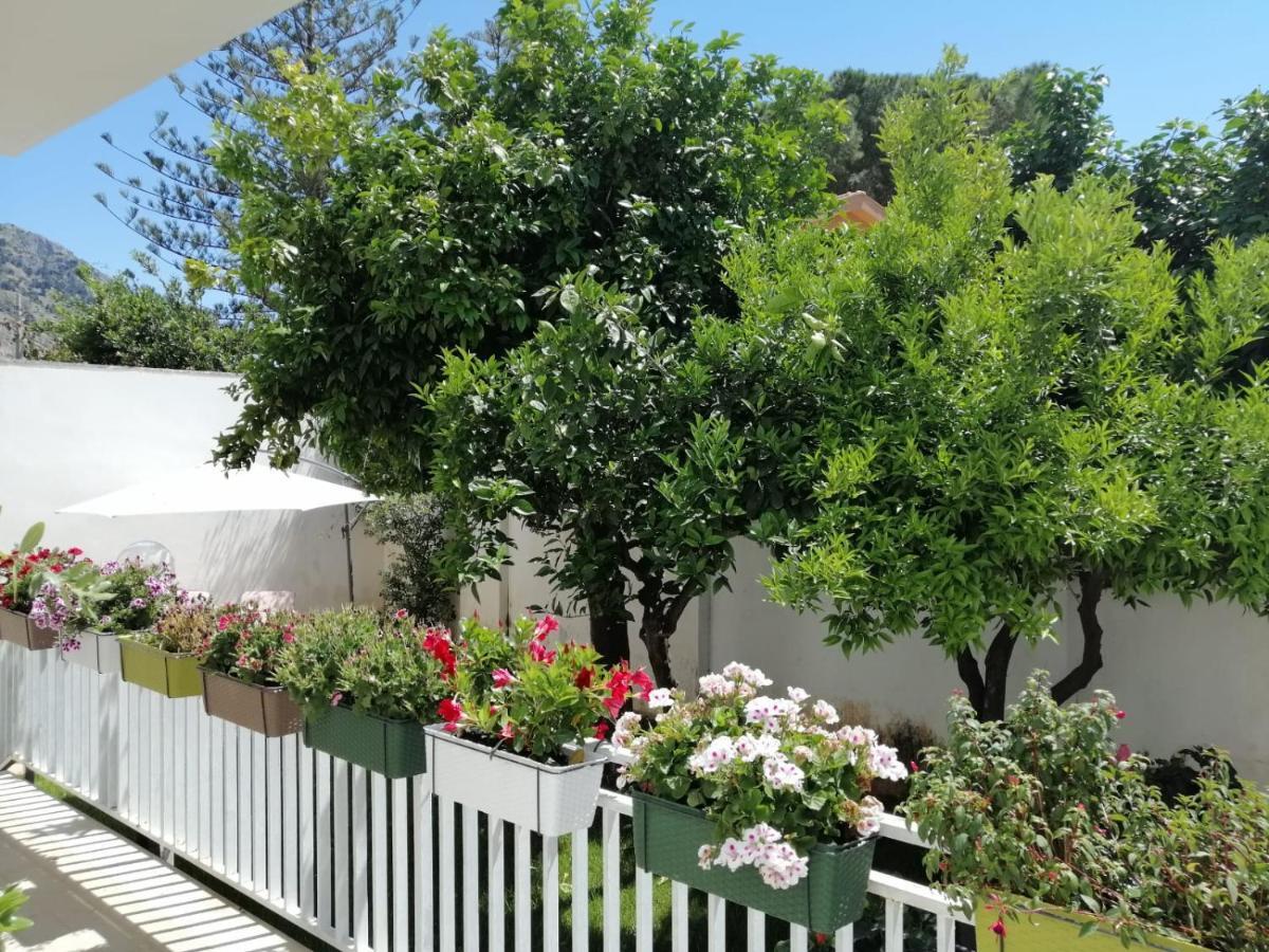Mondello Beach The House With Green Lawns Villa Exterior photo